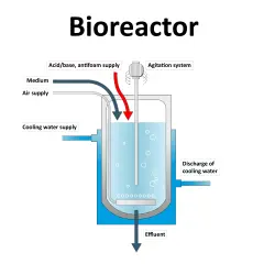 Bioprocessing