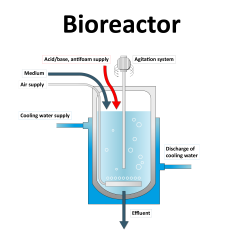 bioprocessing-fermentation