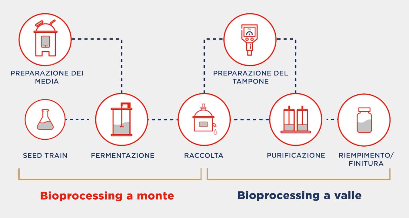 bio-pharmaceutical_upstream-and-downstream-it