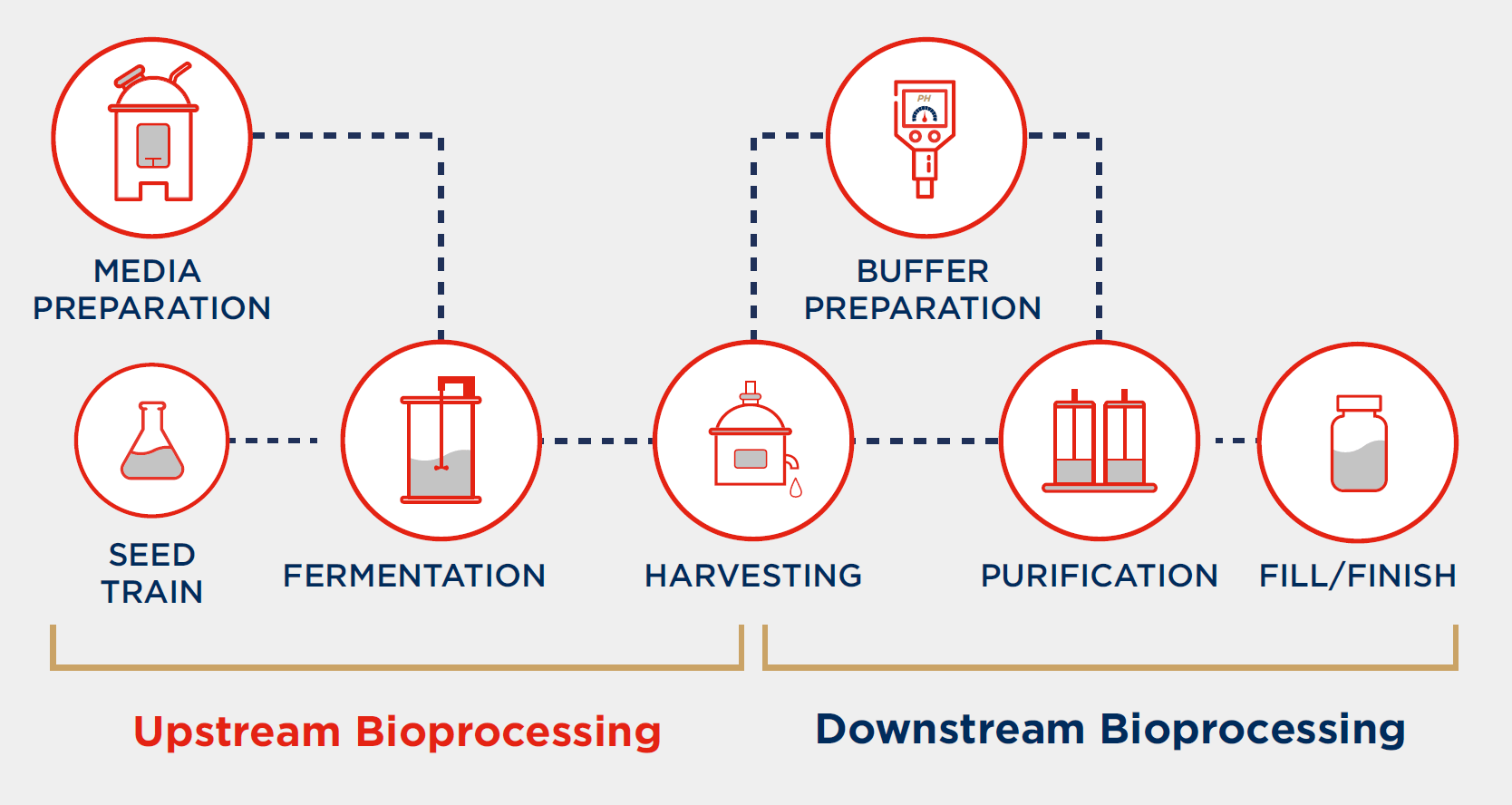 upstream and downstream