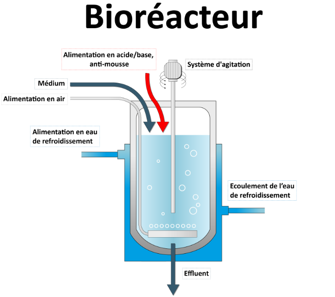 Bioréacteur