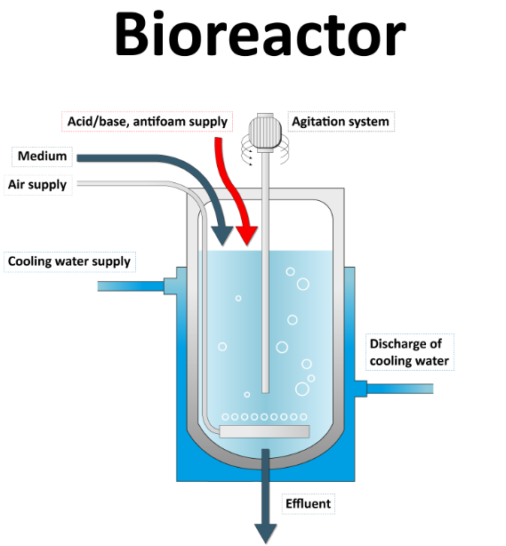 Gärung, Auswahl der Pumpe für den Bioreaktor