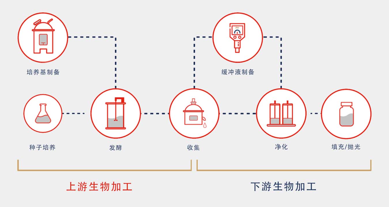 bio-pharmaceutical_upstream-and-downstream-zh