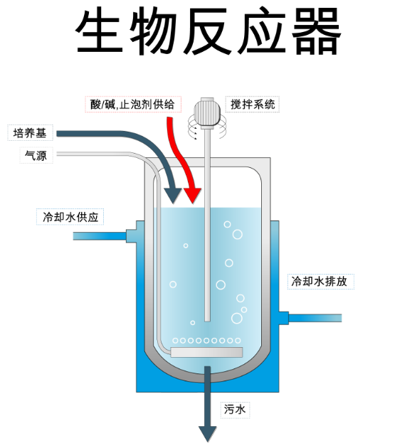 生物反应器