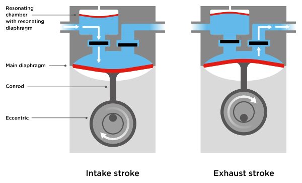Low-Pulsation Transfer in Liquid Diaphragm Pumps | Thomas
