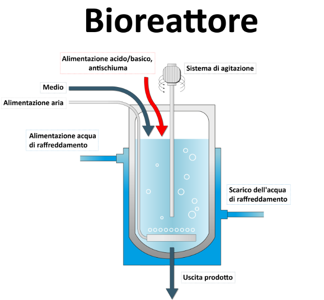 Bioreattore